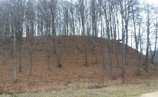 Raudonėnų piliakalnis.jpg